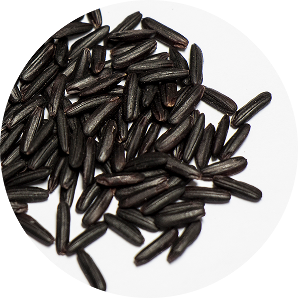 Black Rice