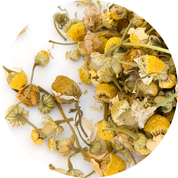 Chamomile