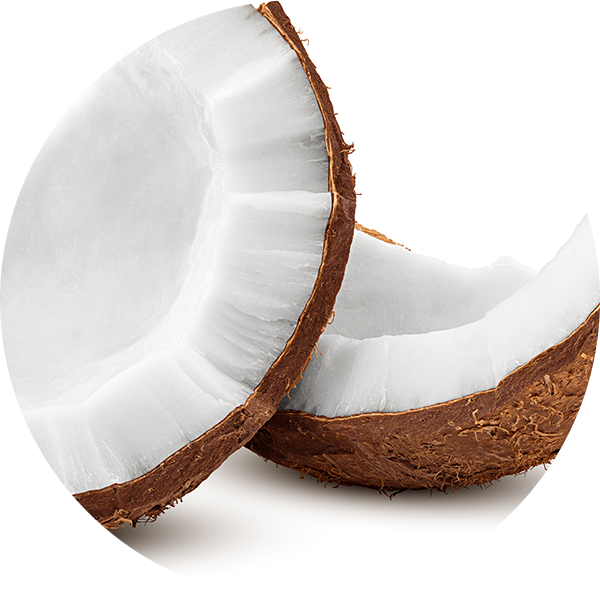 Ingredient Coconut