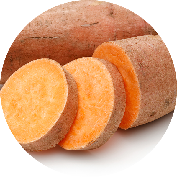 Sweet Potato